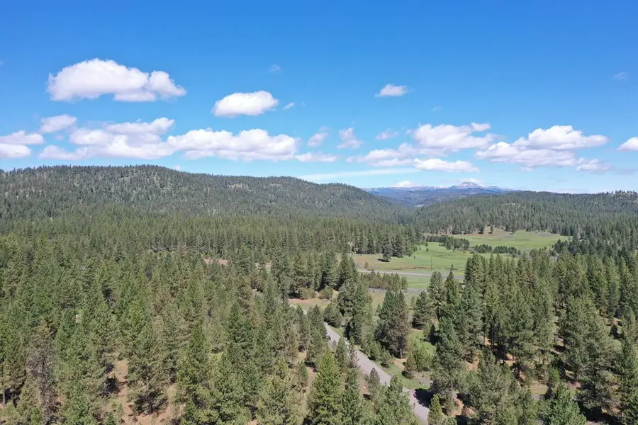 Lot 44 Old Hwy 95, New Meadows, ID 83654 - #2