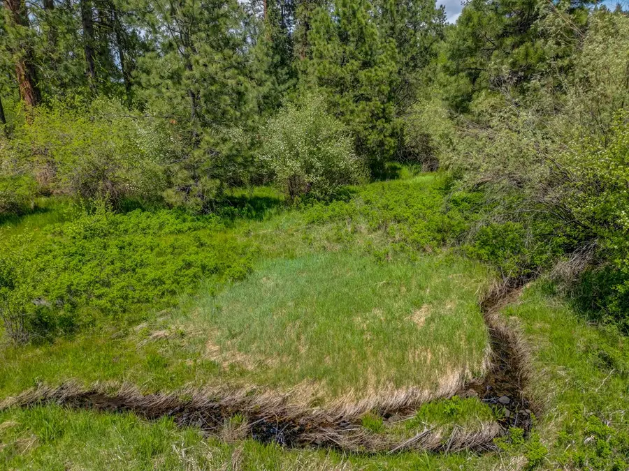 Lot 21 Osprey Court, New Meadows, ID 83654 - #3