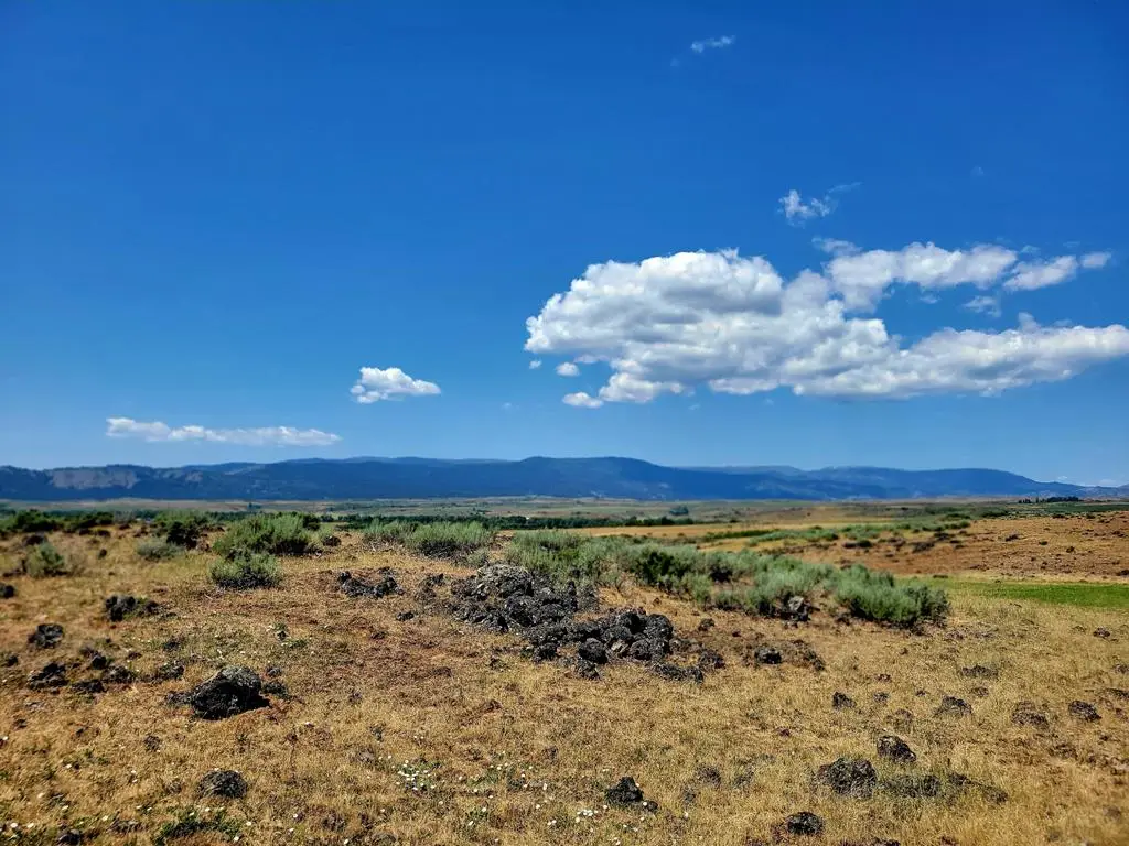 TBD Hwy 95, Council, ID 83612 - #1