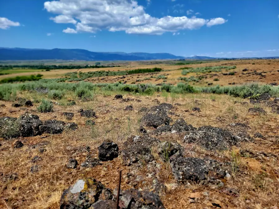 TBD Hwy 95, Council, ID 83612 - #2