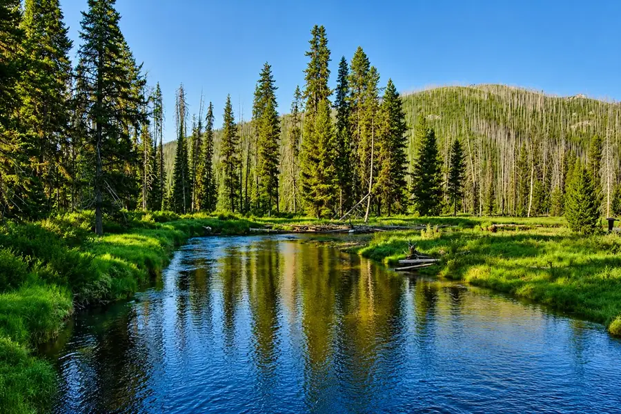 TBD Secesh River Road, Secesh, ID 83547 - #2