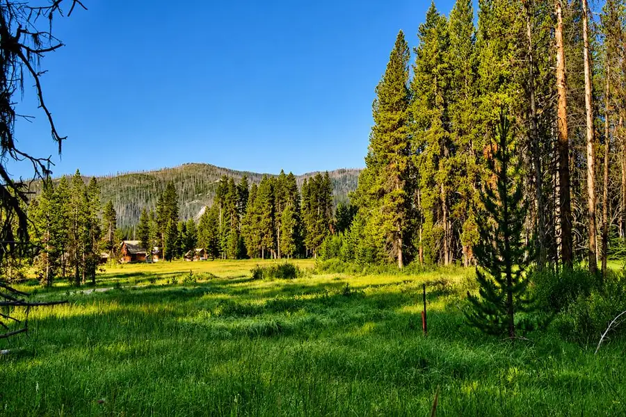 TBD Secesh River Road, Secesh, ID 83547 - #3
