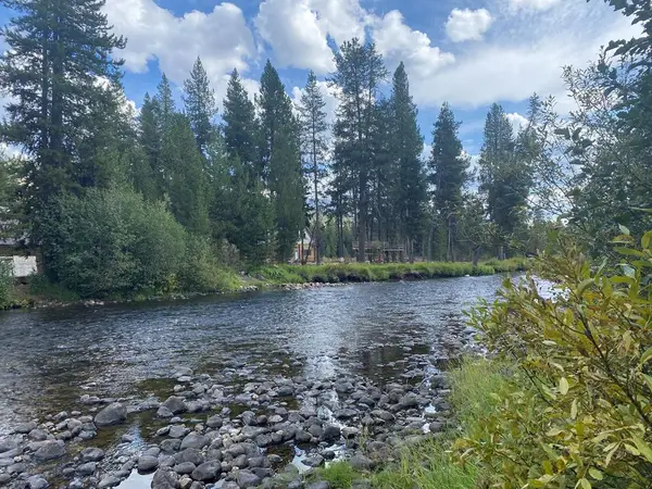 24653 Warren Wagon Road, Secesh, ID 83638