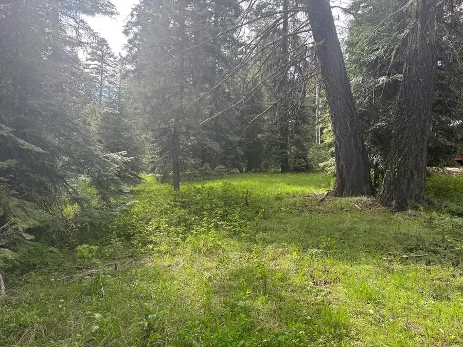 2150 Lydia Drive, Donnelly, ID 83615 - #2