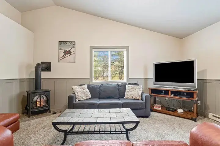 458 Smitty Avenue, McCall, ID 83638 - #3