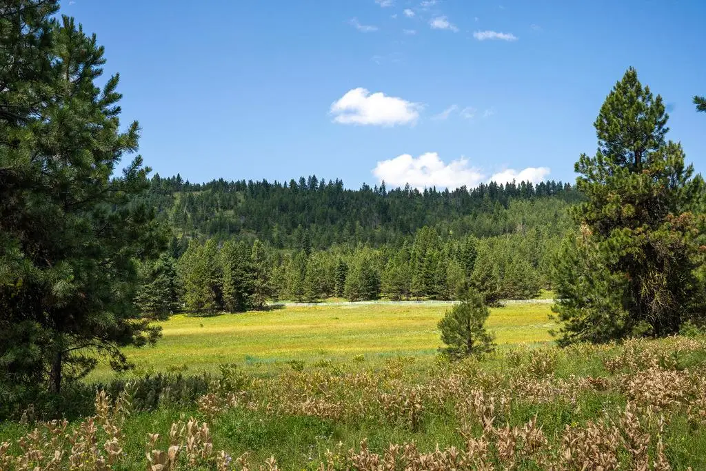5609 Lupine Lane, McCall, ID 83638 - #1