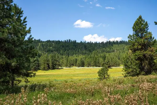 5609 Lupine Lane, McCall, ID 83638