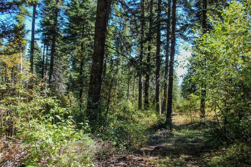 1204 Porcupine Road, Cascade, ID 83611 - #1