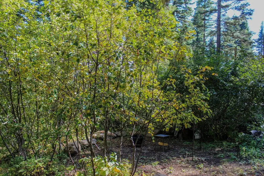 1204 Porcupine Road, Cascade, ID 83611 - #3