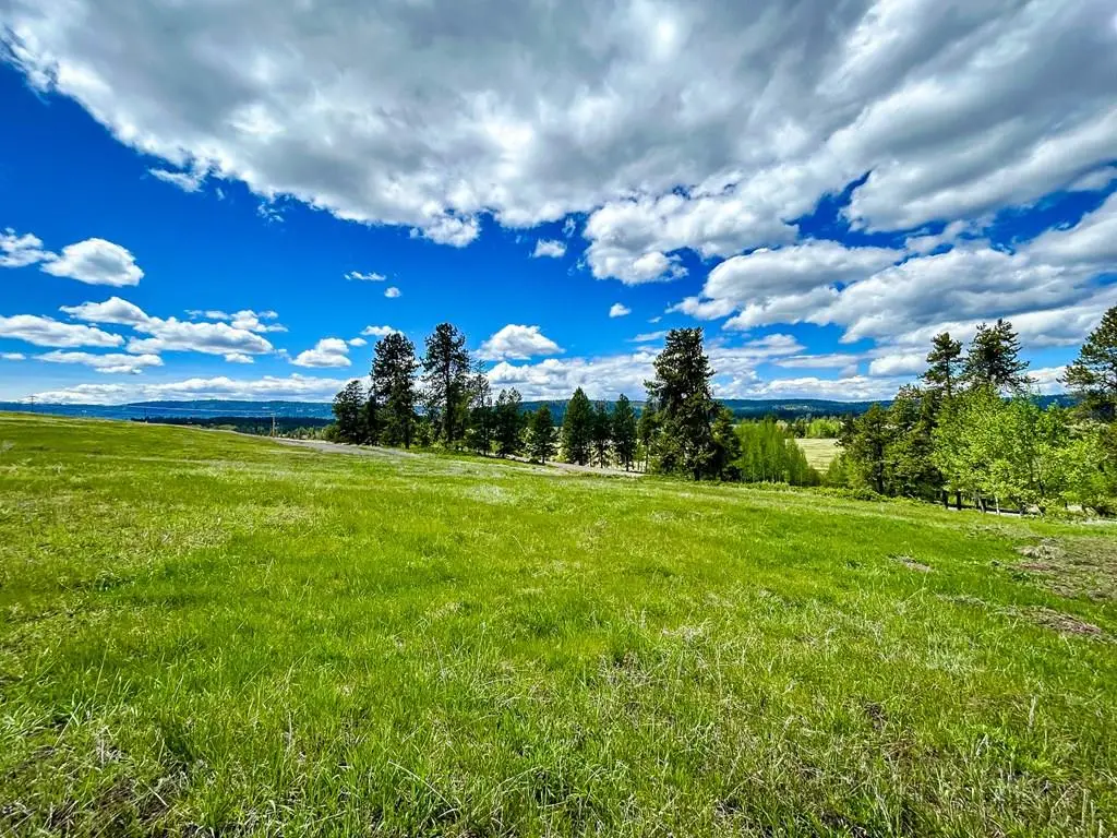 33 Wood Run Trail, McCall, ID 83638 - #1