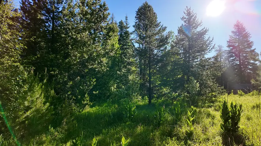2548 Westwood Drive, Donnelly, ID 83615 - #2