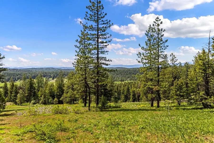 L14 Harrington Place, McCall, ID 83638 - #2