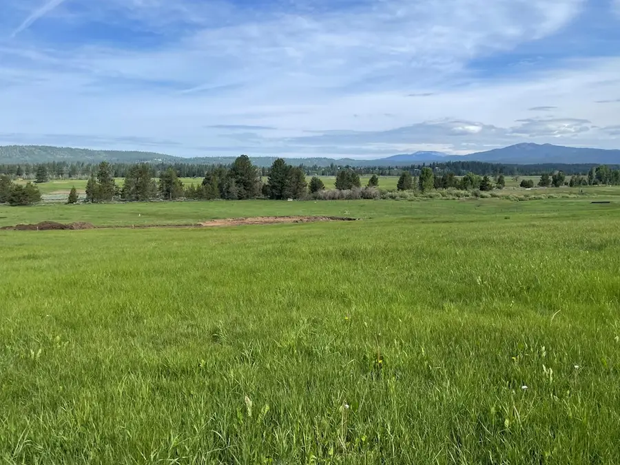 6 Little Moose Court, McCall, ID 83638 - #2
