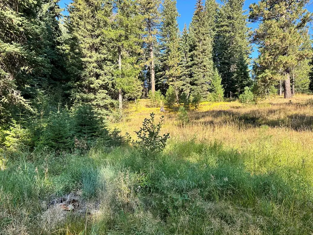 2195 Davy Road, Donnelly, ID 83615 - #1