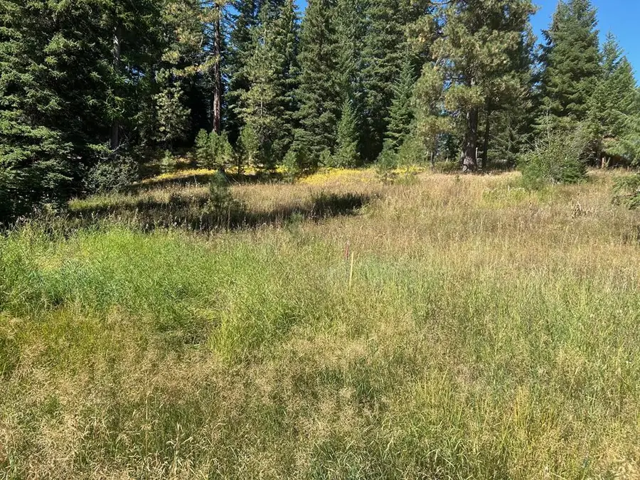 2195 Davy Road, Donnelly, ID 83615 - #3