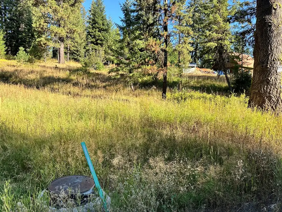 20 Andy Lane, Donnelly, ID 83615 - #3