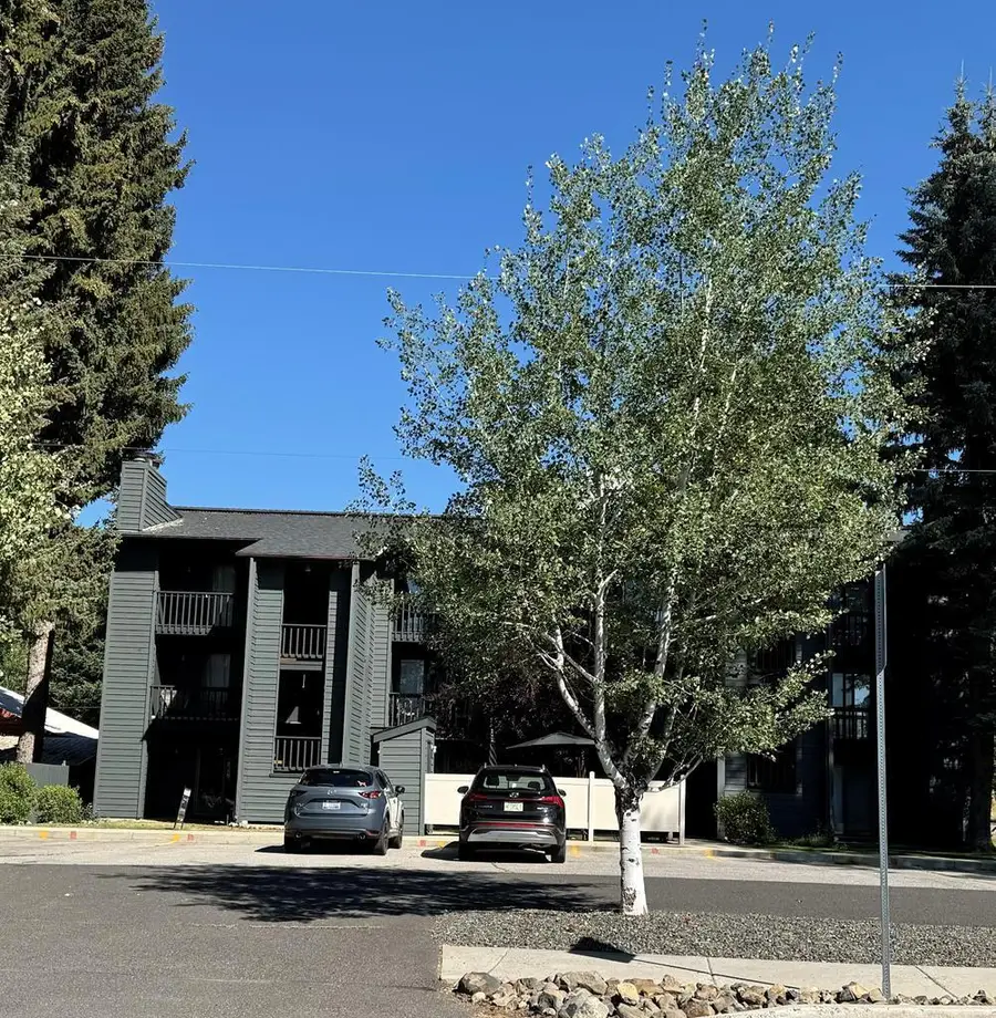 601 Hemlock Street #3, McCall, ID 83638 - #3