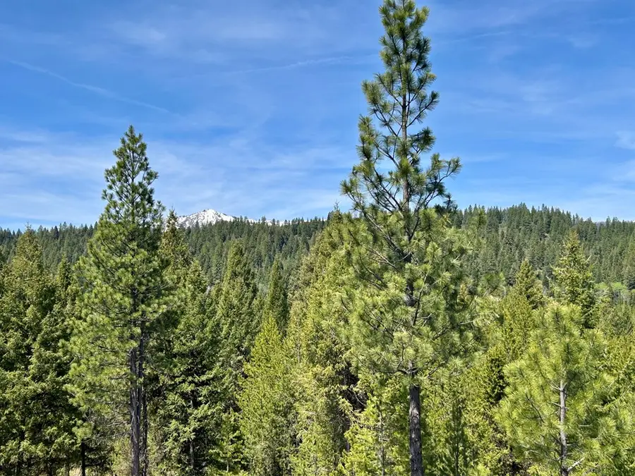 72 Sawtooth Loop, Cascade, ID 83611 - #2