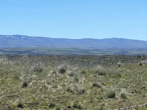 TBD P-3 Indian Valley Road, Indian Valley, ID 83632