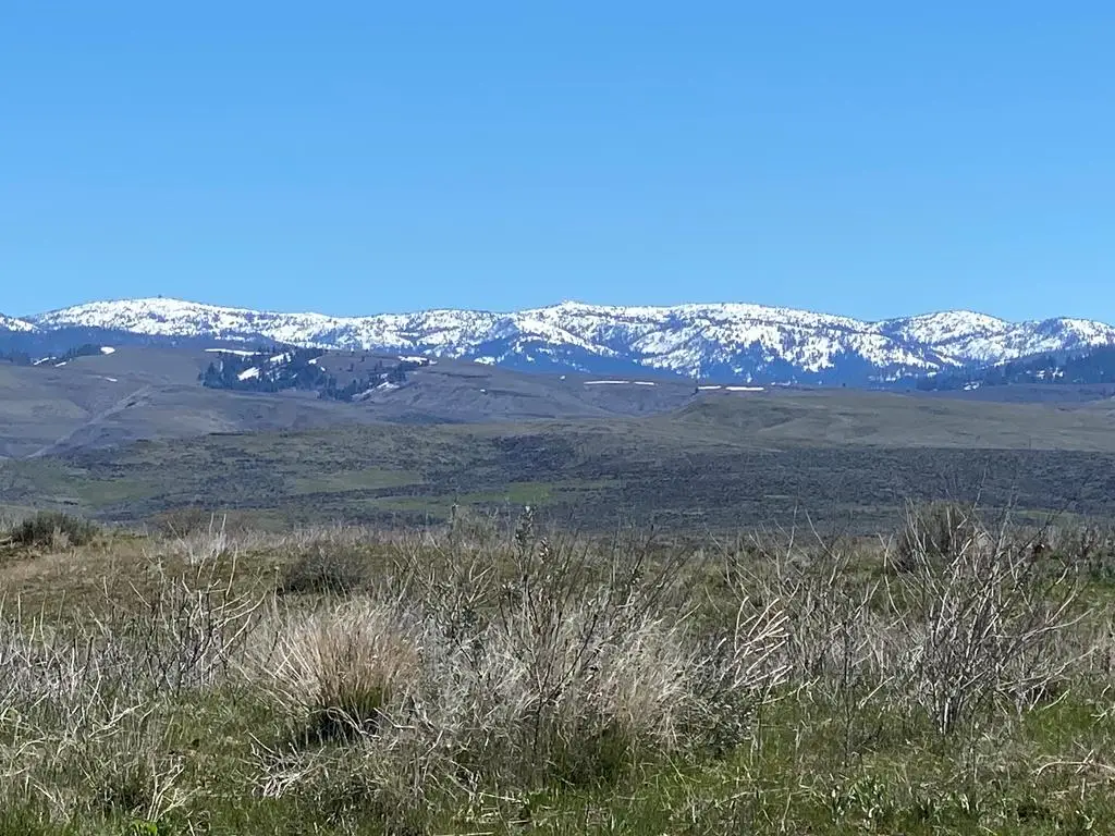 TBD P-4 Indian Valley Road, Indian Valley, ID 83632 - #1