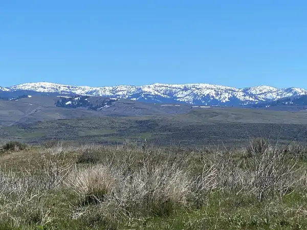 TBD P-4 Indian Valley Road, Indian Valley, ID 83632