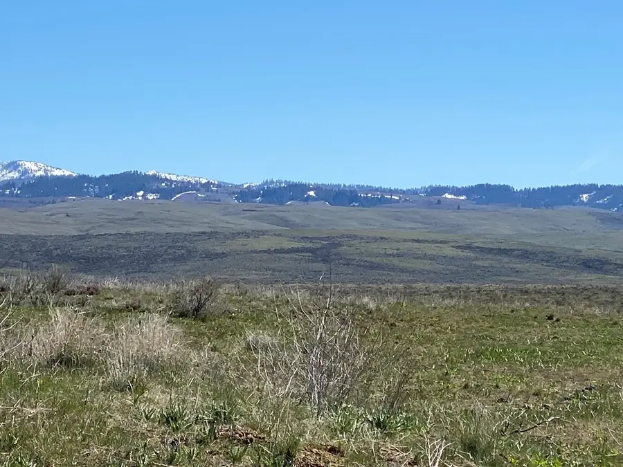 TBD P-4 Indian Valley Road, Indian Valley, ID 83632 - #2