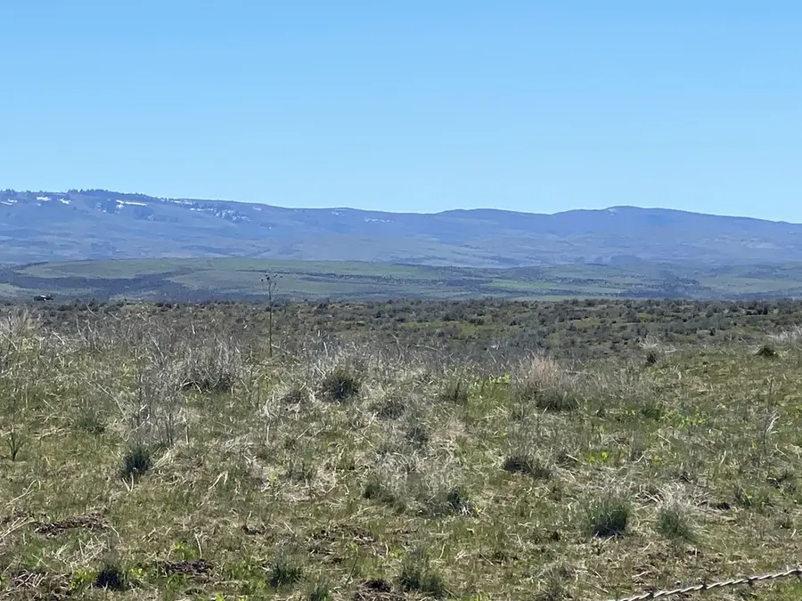 TBD P-4 Indian Valley Road, Indian Valley, ID 83632 - #3