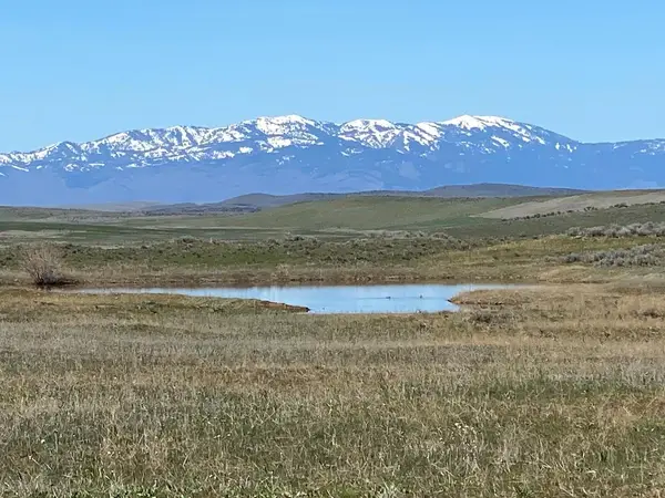 TBD P-5 Indian Valley Road, Indian Valley, ID 83632