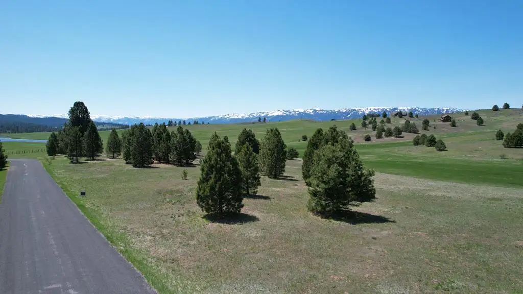 12989 Zoon Lane, Donnelly, ID 83615 - #1