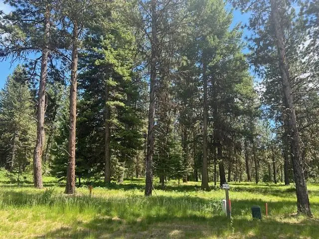 11 Vernon Court, McCall, ID 83638 - #1