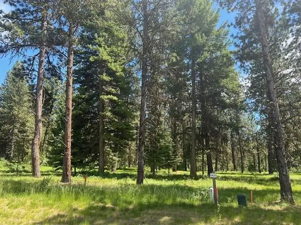 11 Vernon Court, McCall, ID 83638