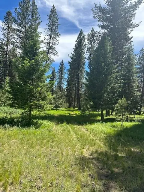 11 Vernon Court, McCall, ID 83638 - #2