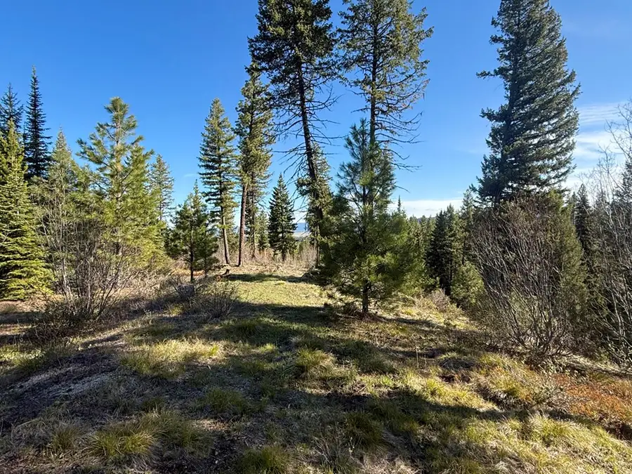 Lot 5 Urban Lane, Cascade, ID 83611 - #2