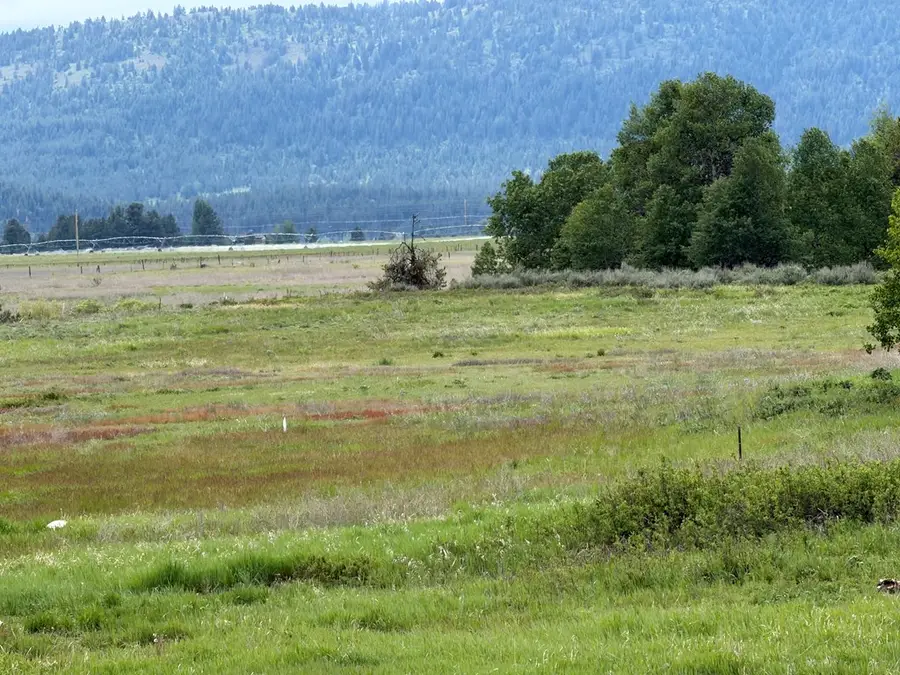 14031 Hwy 55, McCall, ID 83638 - #2