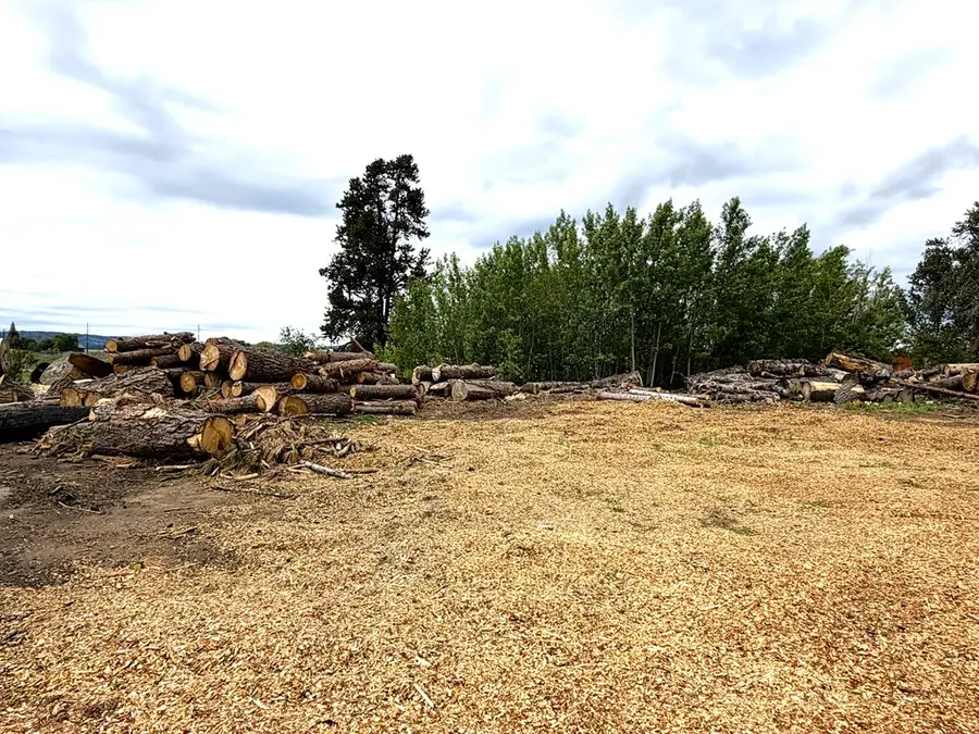 14031 Hwy 55, McCall, ID 83638 - #3