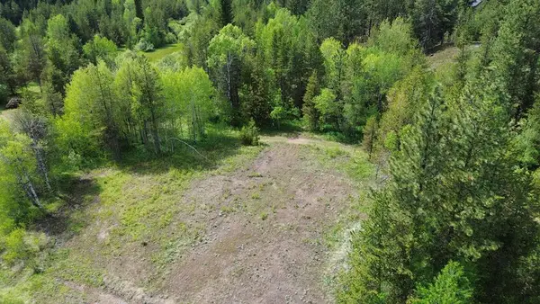 25 Eveningstar Lane, McCall, ID 83709