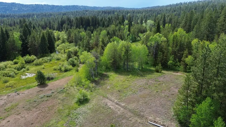 25 Eveningstar Lane, McCall, ID 83709 - #2