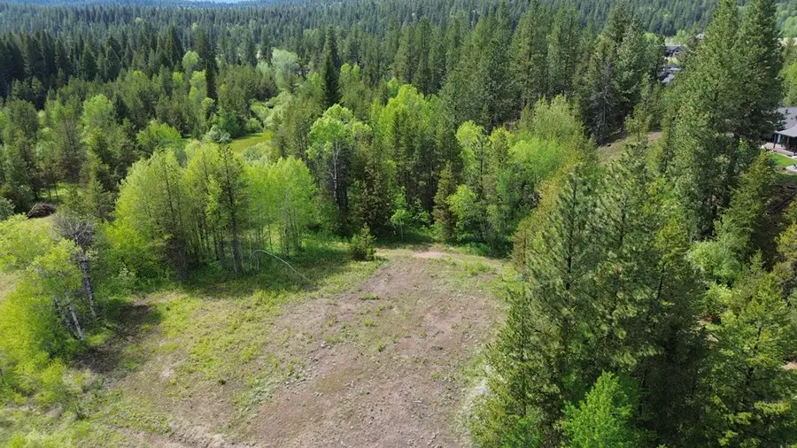25 Eveningstar Lane, McCall, ID 83709 - #3