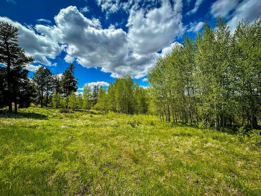 30 Wood Run Trail, McCall, ID 83638 - #2