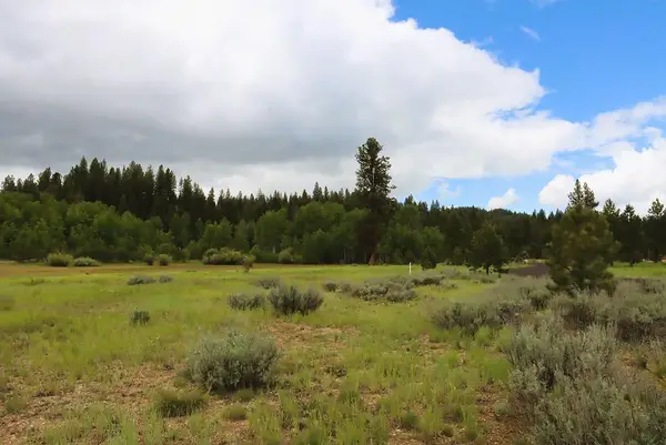 000 Targhee Court, McCall, ID 83638