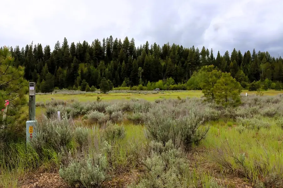 000 Targhee Court, McCall, ID 83638 - #2