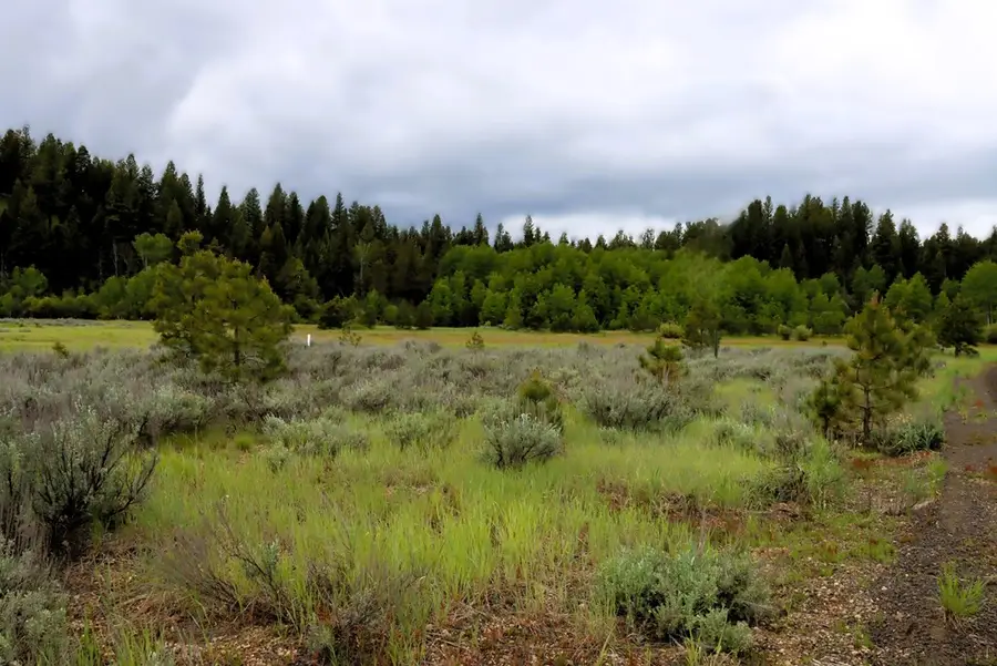 000 Targhee Court, McCall, ID 83638 - #3