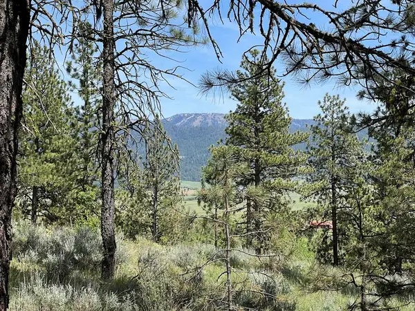 B22 L13 Vardon Road, New Meadows, ID 83654