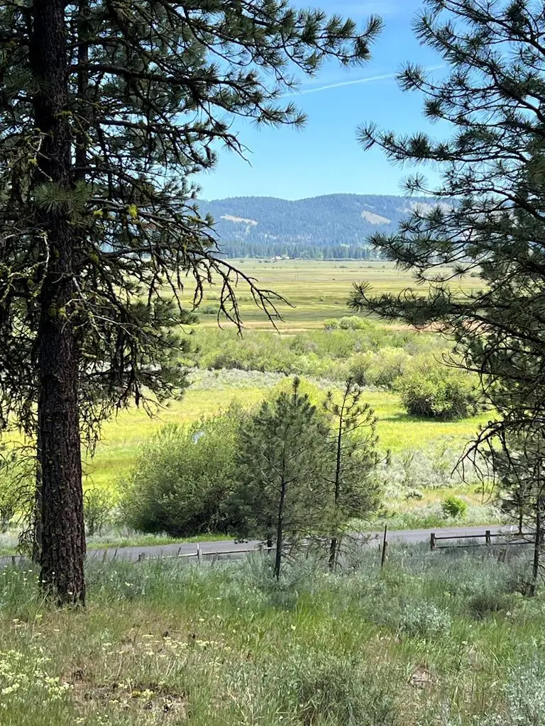 B22 L13 Vardon Road, New Meadows, ID 83654 - #2
