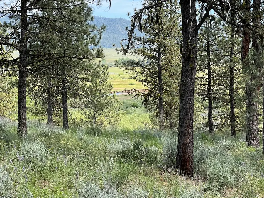B22 L13 Vardon Road, New Meadows, ID 83654 - #3