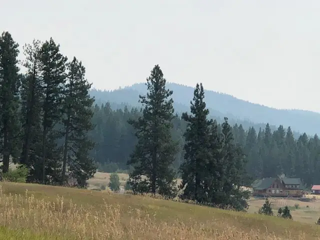 TBD Canyon Creek Way, New Meadows, ID 83654 - #1