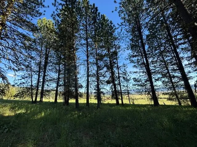 TBD Canyon Creek Way, New Meadows, ID 83654 - #3