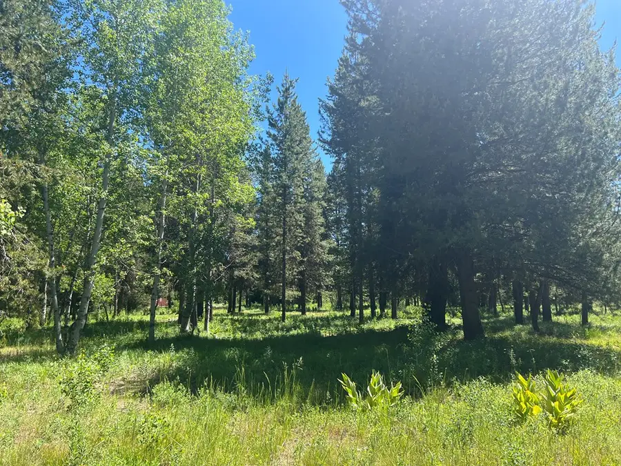 TBD Chad Drive, McCall, ID 83638 - #3