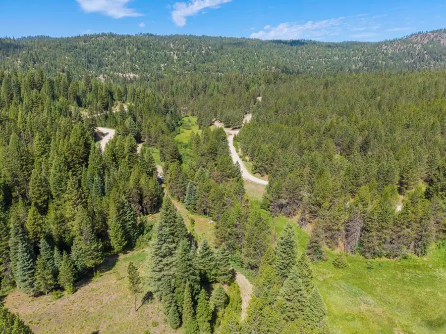 178 Tripod View Drive, Cascade, ID 83611 - #3
