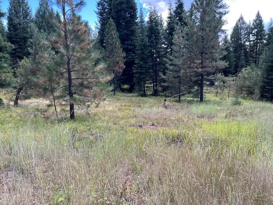 #8 Whitefield Lane, McCall, ID 83638 - #3